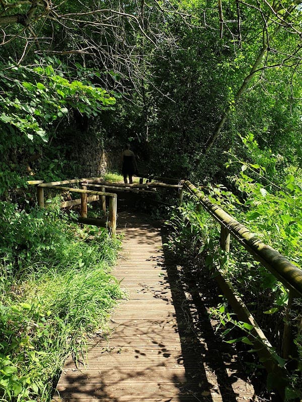Sentier des Chibottes - Vals-près-le-Puy (environs du Puy-en-Velay) (4)