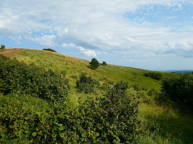 Puy des Goules (3)
